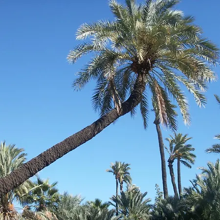 Διαμέρισμα El Soleado El Rincon Campoamor