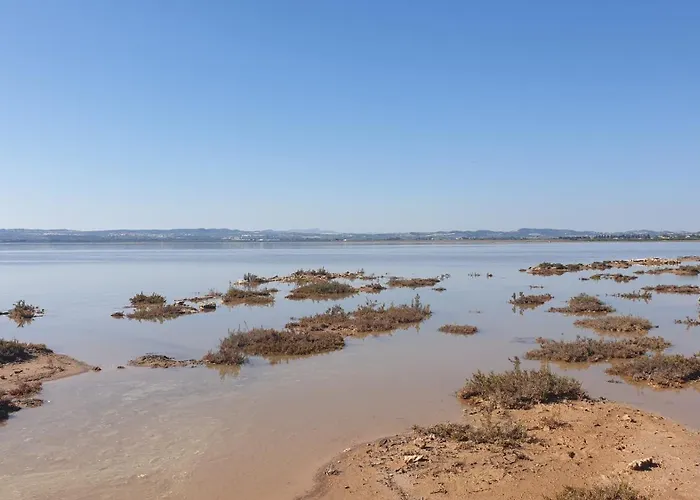 El Soleado El Rincon 아파트 *