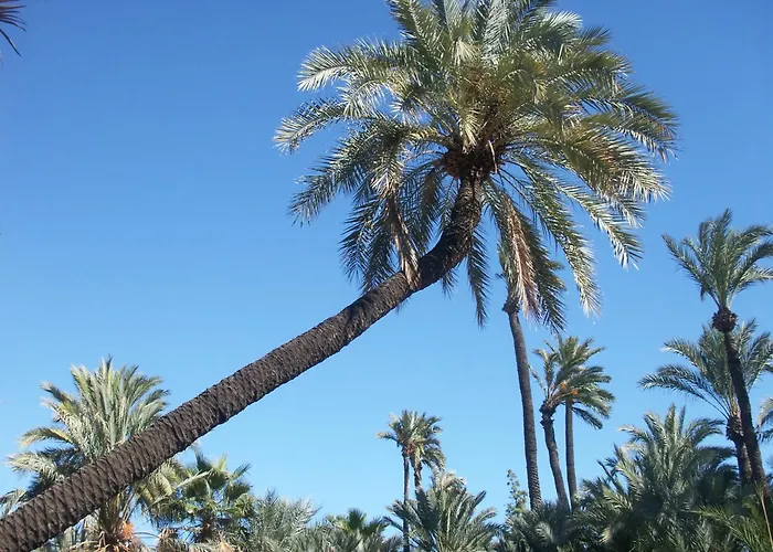 아파트 El Soleado El Rincon 캄포아모르